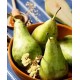 Саженец груши "Бере Дюрандо" Саженец груши "Бере Дюрандо"